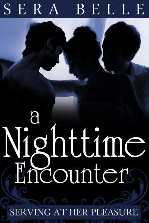 Cover of the book A Nighttime Encounter by Sera Belle