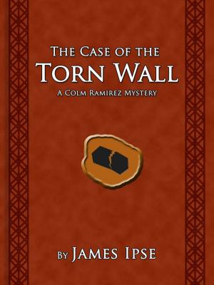 Book cover of The Case of the Torn Wall