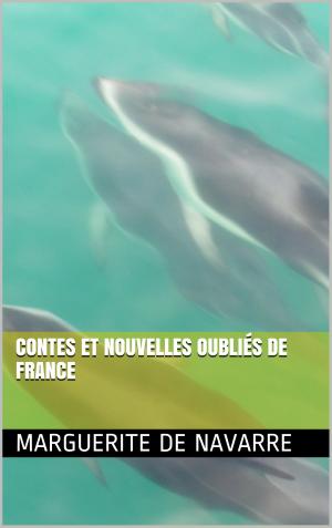 Book cover of Contes et nouvelles oubliés de France