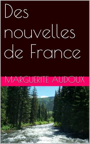 Cover of the book Des nouvelles de France by Pablo de HERLAGNEZ