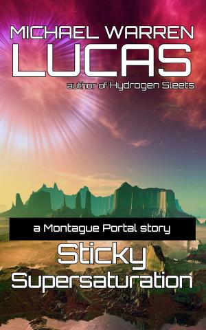 Cover of the book Sticky Supersaturation by Nobilis Reed, Bill Blume, Stacia D Kelly