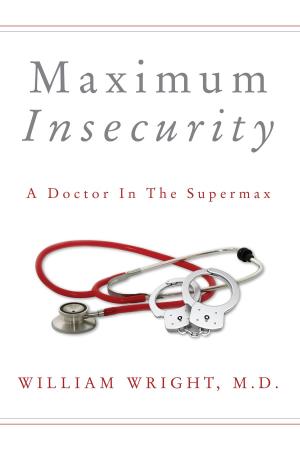 bigCover of the book Maximum Insecurity by 