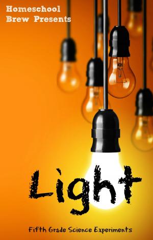 Cover of the book Light by Thomas Bell, Greg Sherman, Terri Raymond