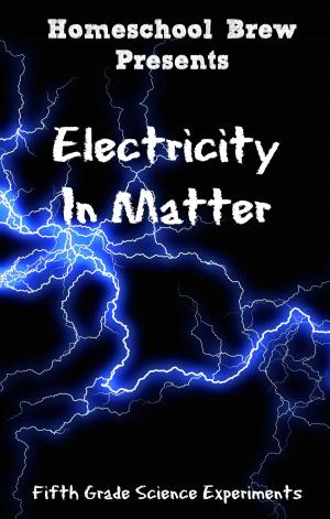 Cover of the book Electricity In Matter by Thomas Bell, Greg Sherman, Terri Raymond