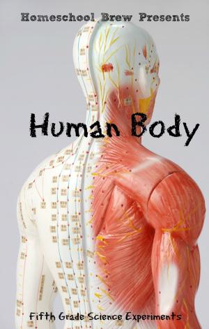 bigCover of the book Human Body by 