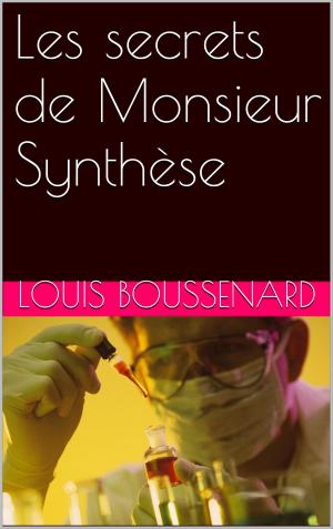 Cover of the book Les secrets de Monsieur Synthèse by Patricia Damery