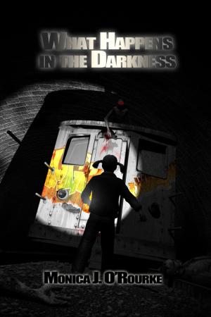 Book cover of What Happens In The Darkness