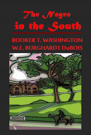 Book cover of The Negro in the South