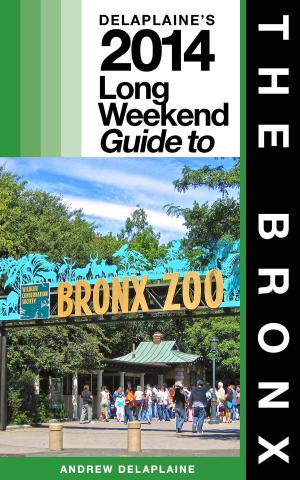 bigCover of the book NEW YORK / THE BRONX - The Delaplaine 2014 Long Weekend Guide by 