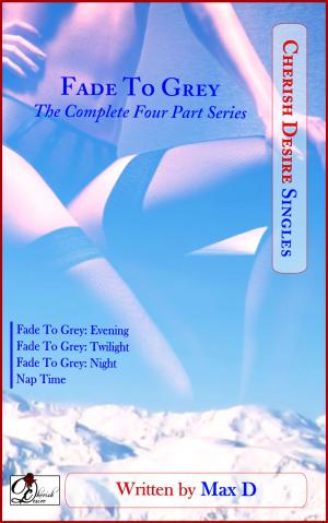 Cover of the book Fade to Grey (The Complete Four Part Series) by Sienna Snow