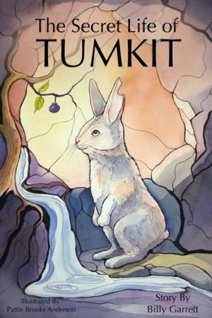 Cover of the book The Secret Life of Tumkit by Mary Boswell