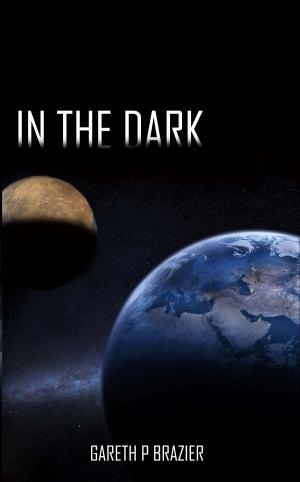 Cover of the book In The Dark by Pam Lesemann