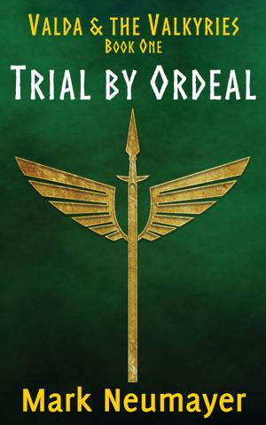 Cover of the book Trial by Ordeal: Valda & the Valkyries Book One by Hailey Griffiths