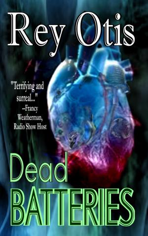 Cover of the book Dead Batteries by S.C. Hayden