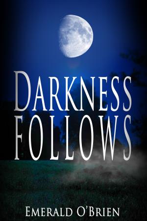Cover of the book Darkness Follows by Johana Gustawsson