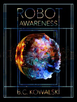 Book cover of Robot Awareness, Part I