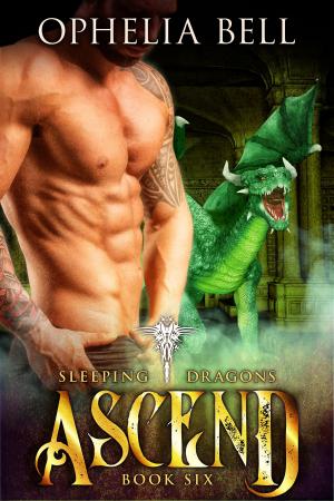 Cover of the book Ascend by Stacy McKitrick