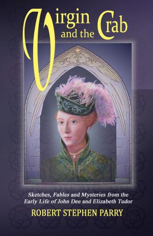 Cover of the book VIRGIN AND THE CRAB by Katie O'Connor