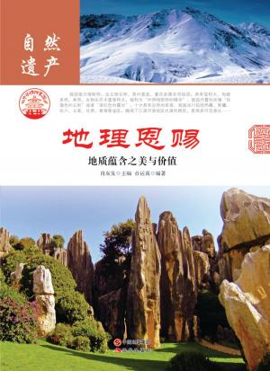 Cover of the book 地理恩赐：地质蕴含之美与价值 by Kristen M. Neiling, Cecilia Larrosa Mazzeo