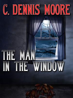 Cover of the book The Man in the Window by M. J. Neary