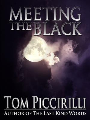 Cover of the book Meeting the Black by Nancy Kilpatrick
