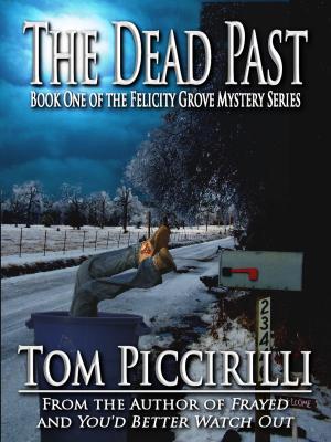 Cover of the book The Dead Past by Tim Curran