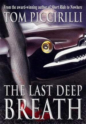 Book cover of The Last Deep Breath