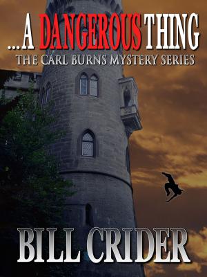 Cover of the book …A Dangerous Thing by Christopher Fahy