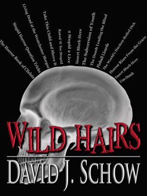 Book cover of Wild Hairs