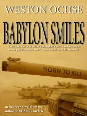 Cover of the book Babylon Smiles by Aaron Rosenberg