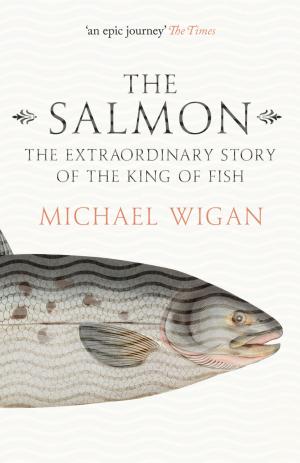 Cover of the book The Salmon: The Extraordinary Story of the King of Fish by Wendy Leonard, PhD MPH
