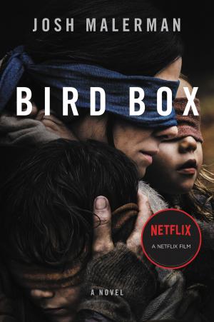 Cover of the book Bird Box by David Litt
