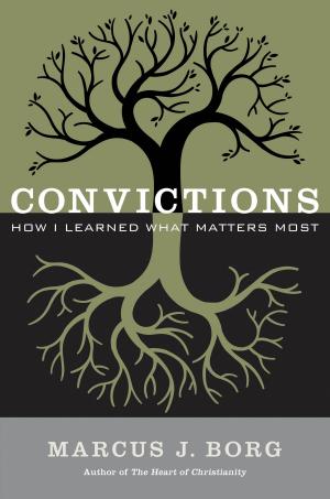 Cover of the book Convictions by Richard J. Foster
