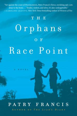 Cover of the book The Orphans of Race Point by Ella Leffland