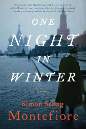 Cover of the book One Night in Winter by Joakim Zander