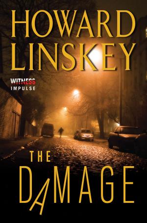 Cover of the book The Damage by Nancy Allen