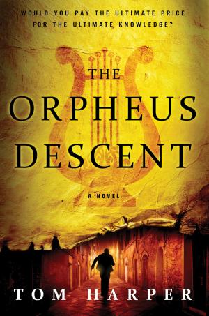 bigCover of the book The Orpheus Descent by 