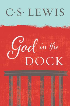 Cover of the book God in the Dock by David Batstone