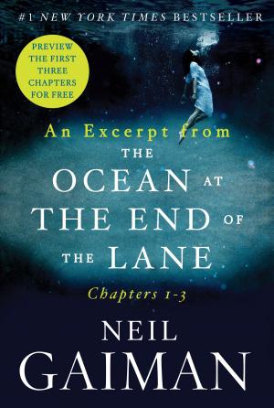 Cover of the book An Excerpt from The Ocean at the End of the Lane by Ashley Erin