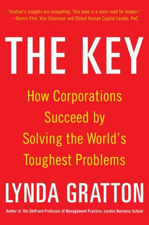 Cover of the book The Key: How Corporations Succeed by Solving the World's Toughest Problems by Jon A. Christopherson, David R. Carino, Wayne E. Ferson