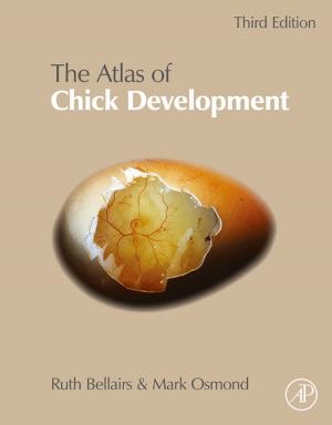 Book cover of Atlas of Chick Development