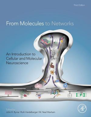 Cover of the book From Molecules to Networks by Cornelia Altenbuchner, James E Hubbard Jr.