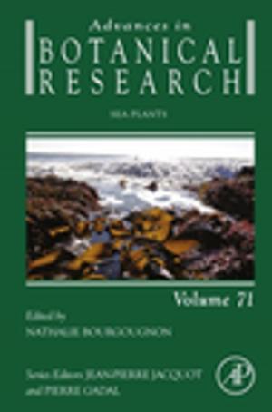 Cover of the book Sea Plants by Mehdi Derradji, Wang Jun, Liu Wenbin