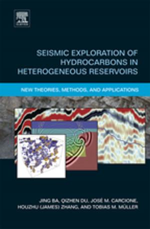 Book cover of Seismic Exploration of Hydrocarbons in Heterogeneous Reservoirs