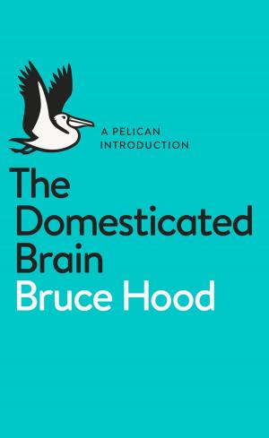 bigCover of the book The Domesticated Brain by 