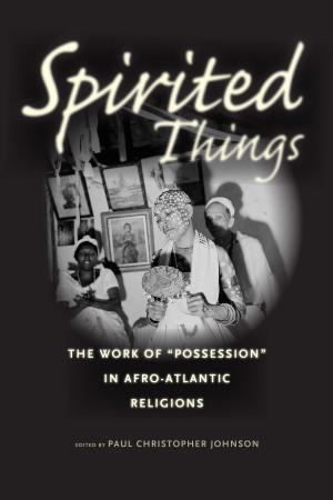 Cover of the book Spirited Things by Rebecca U. Thorpe