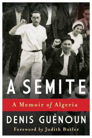 Cover of the book A Semite by Caren Irr, Ph.D.