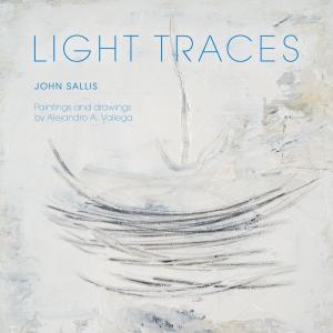 Cover of the book Light Traces by Papoose Doorbelle