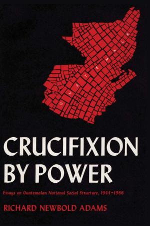 Cover of the book Crucifixion by Power by Richard Graham