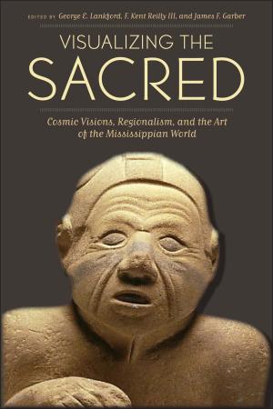 Cover of the book Visualizing the Sacred by Daniel D. Arreola